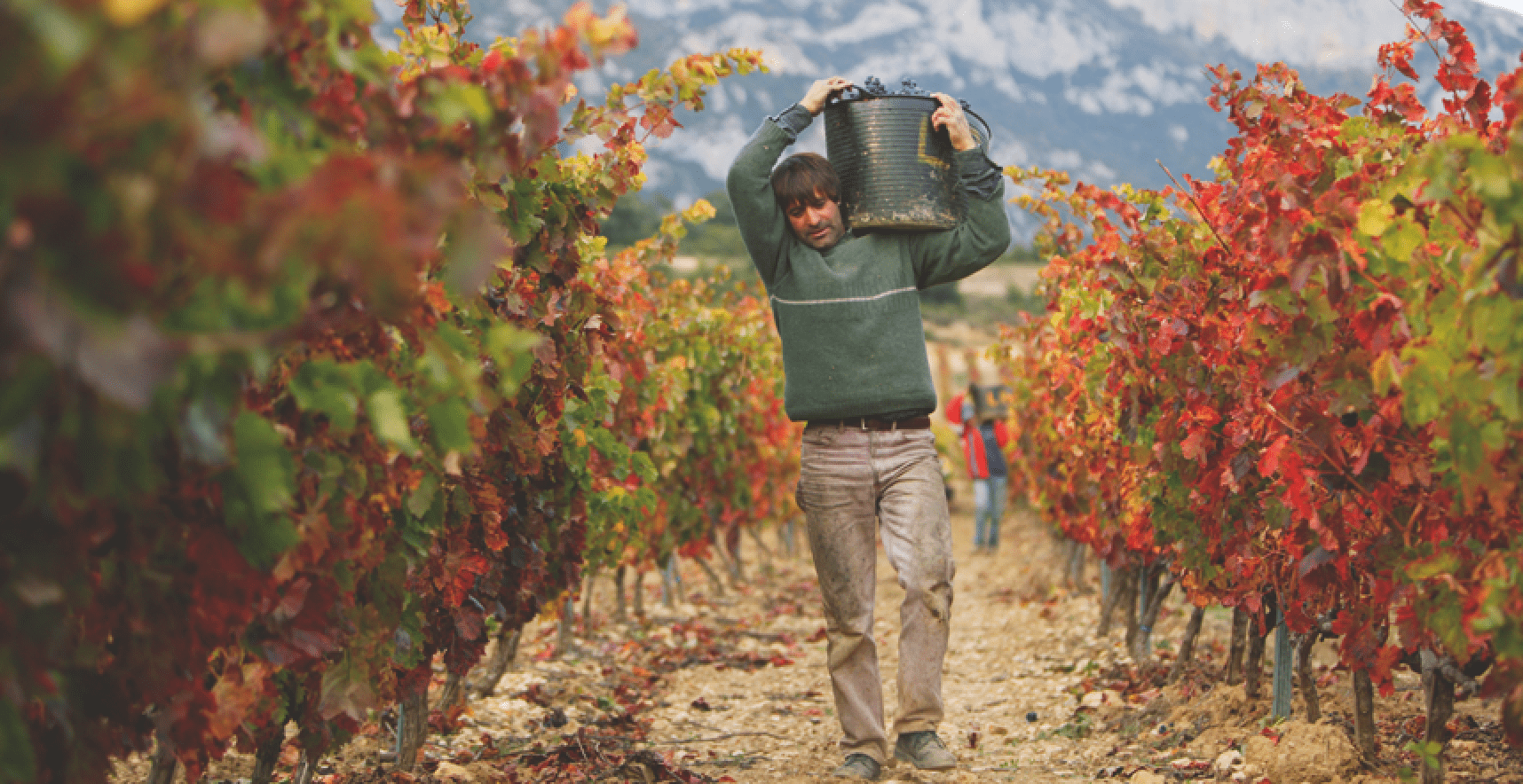 enoturismo Álava Rioja Alavesa