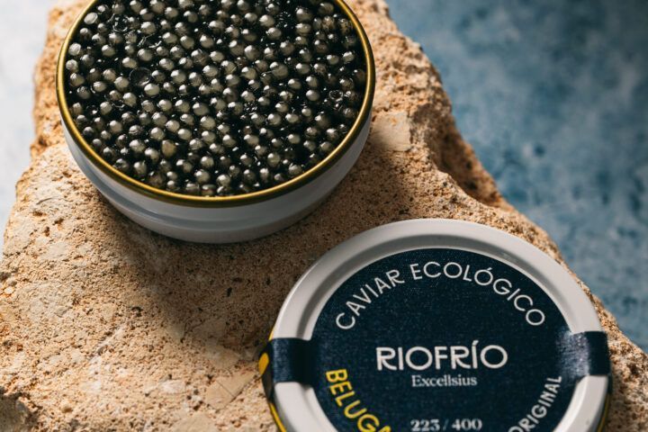 caviar beluga ecológico