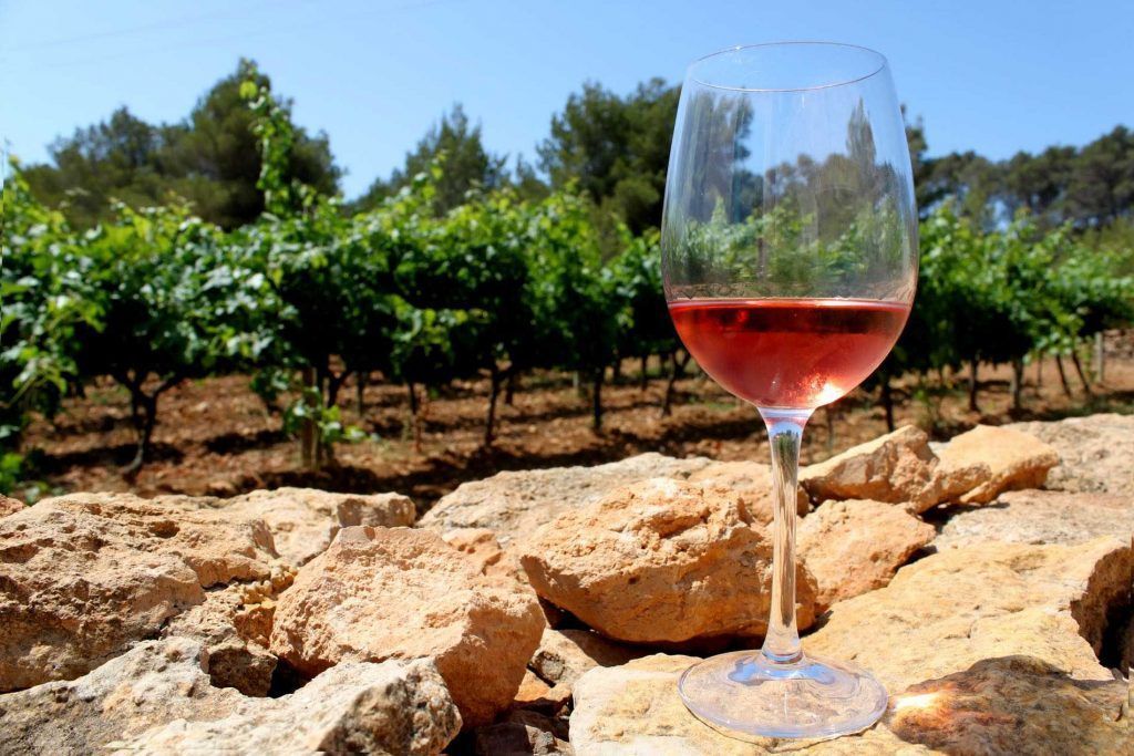Formentera y su vino