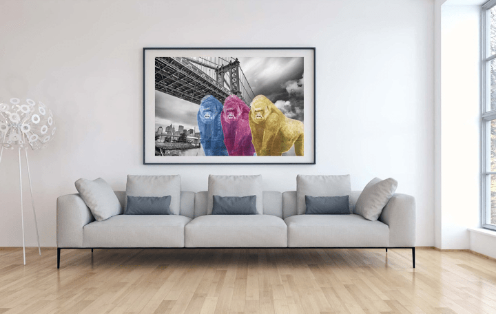láminas fotográficas