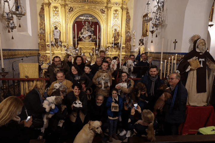 Bendición de animales