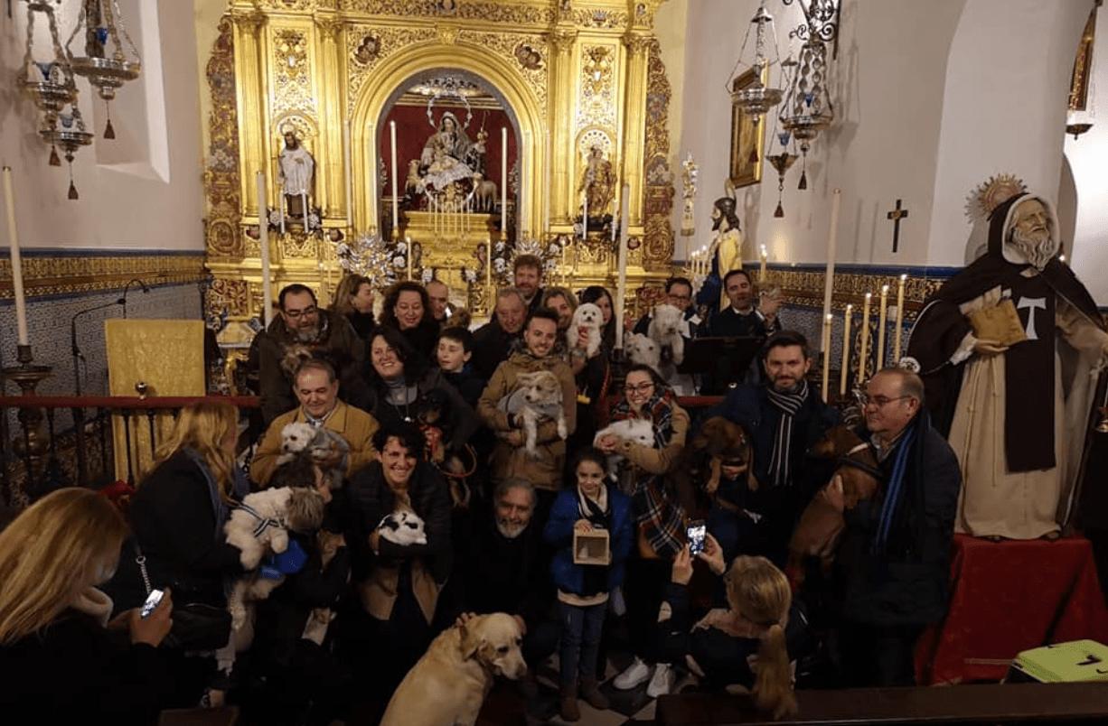 Bendición de animales