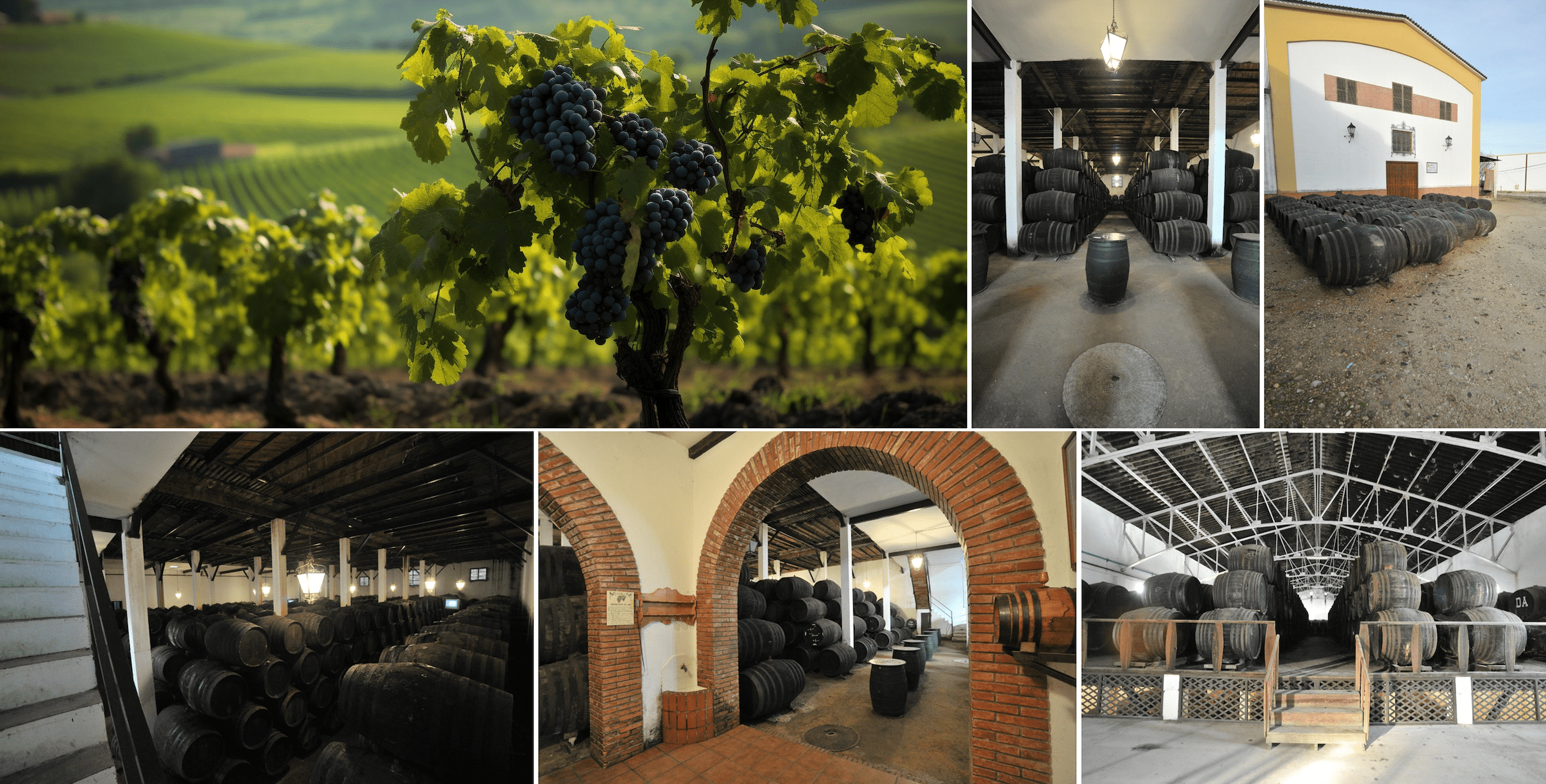 Bodegas Jesús Nazareno