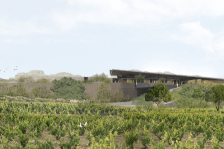 bodega sostenible