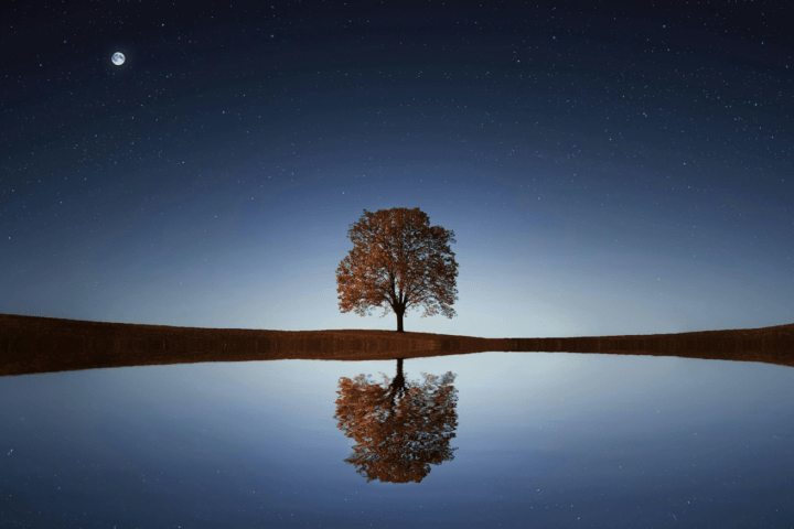 día de la Tierra