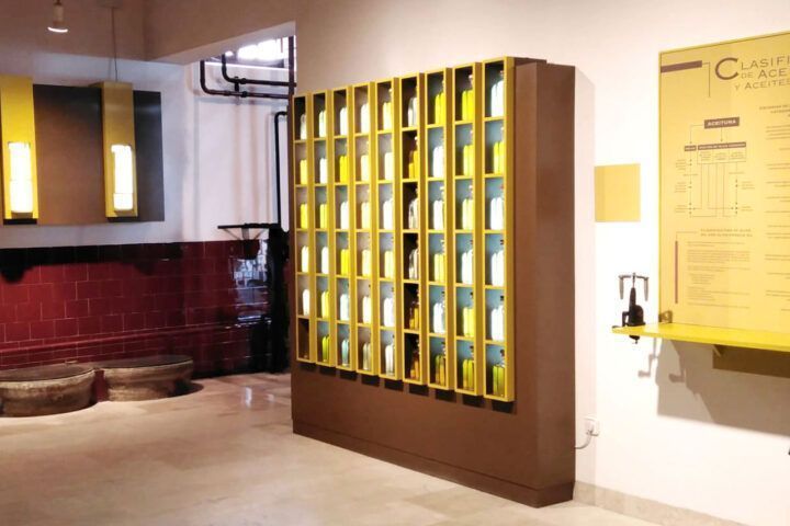 Museo del olivar