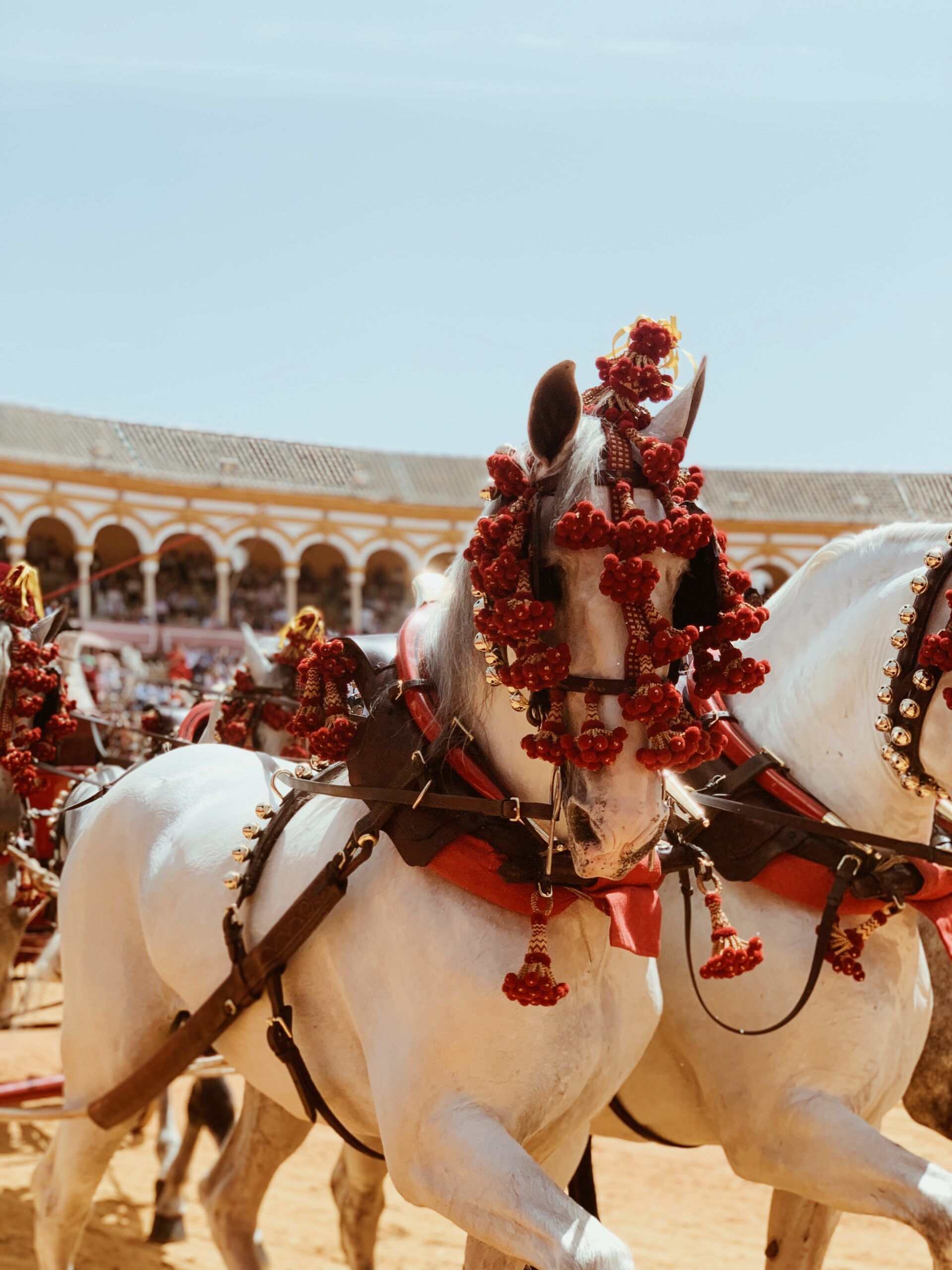 Enganches Sevilla