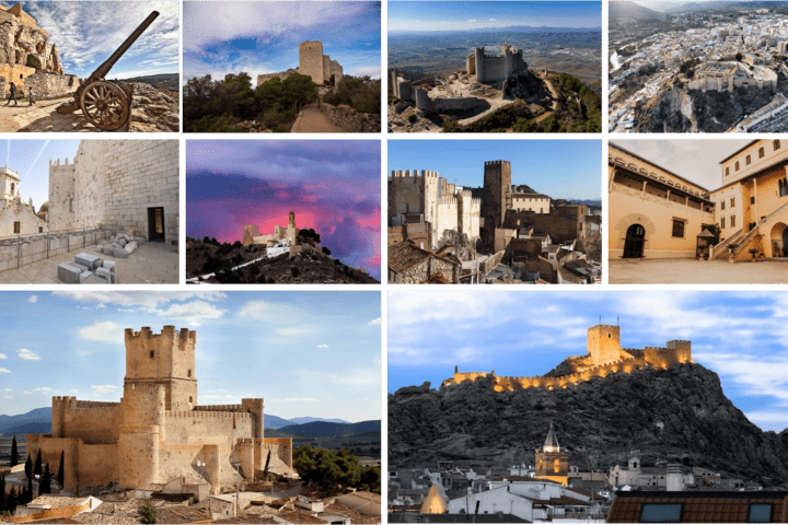 Red de Patrimonio