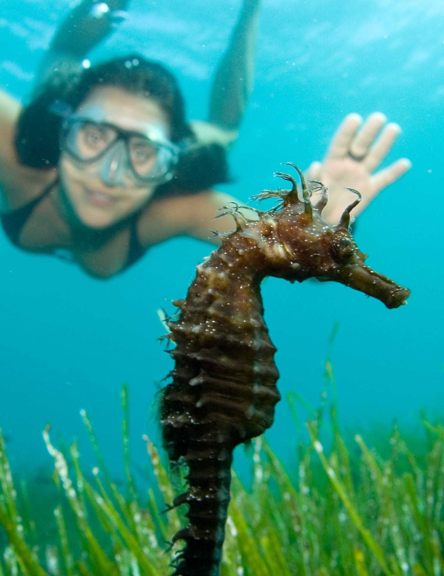 Formentera submarinismo