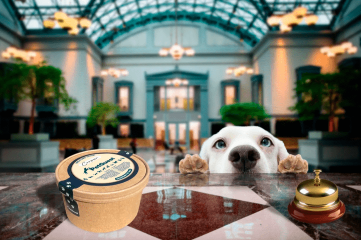 hoteles pet friendly