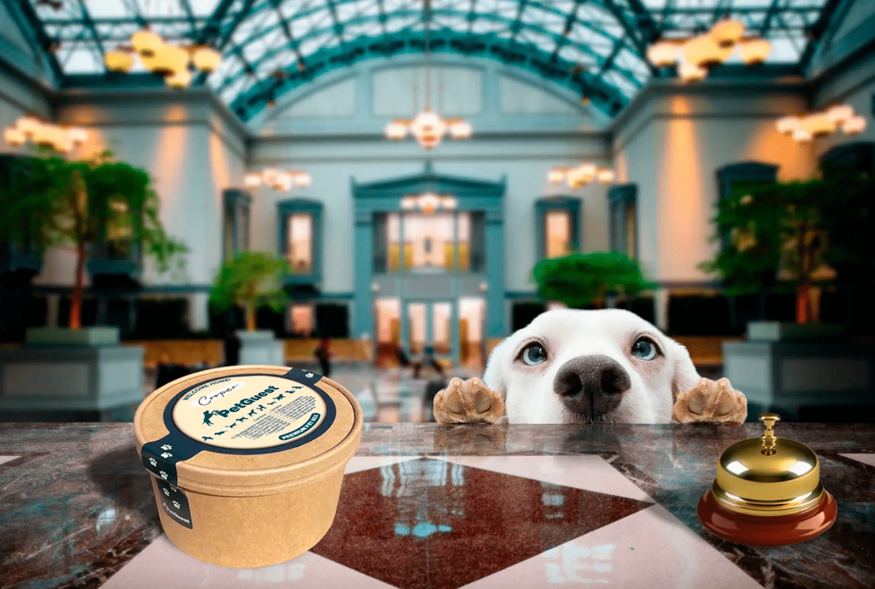 hoteles pet friendly