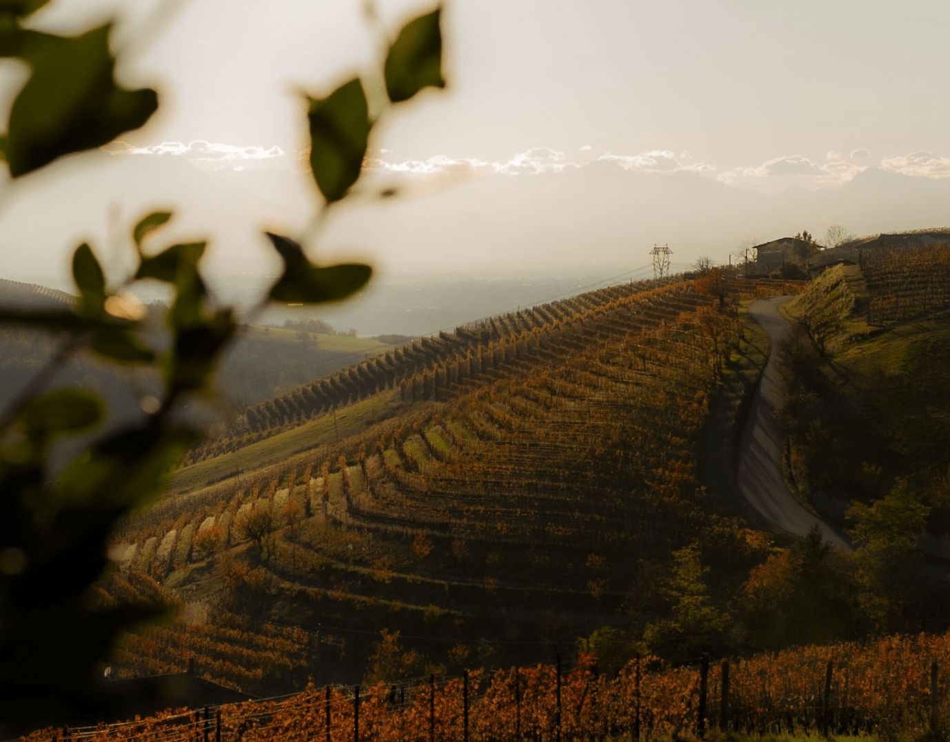 Poderi Luigi Einaudi