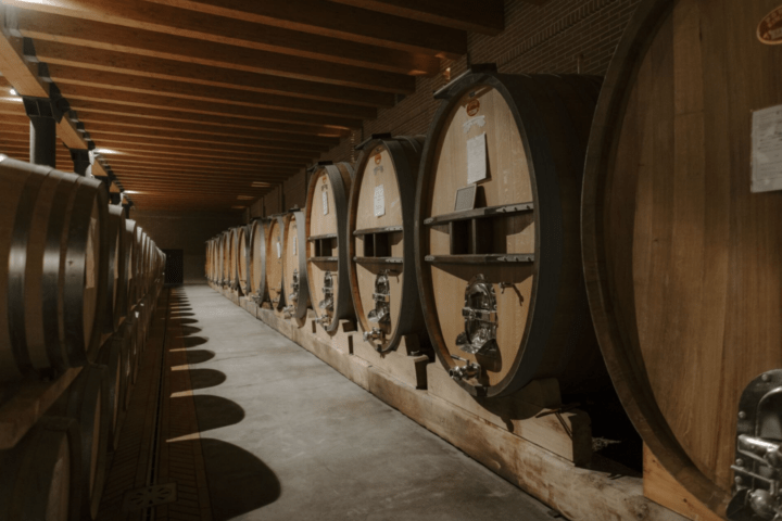 Poderi Luigi Einaudi