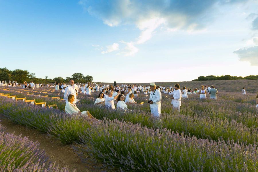 Festival de la Lavanda