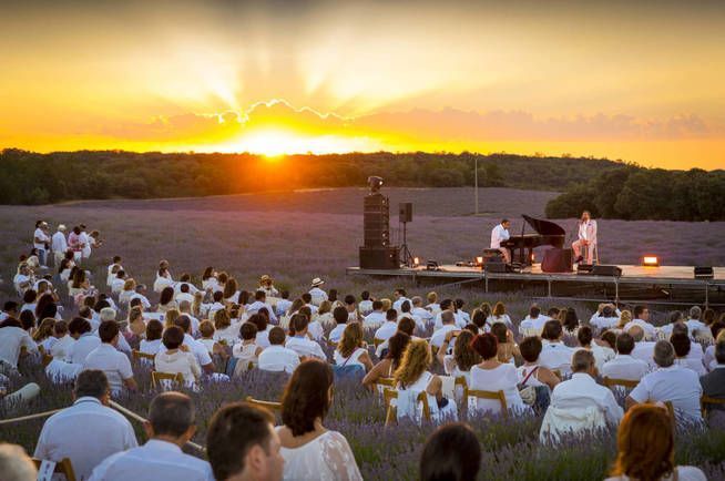 Festival de la Lavanda