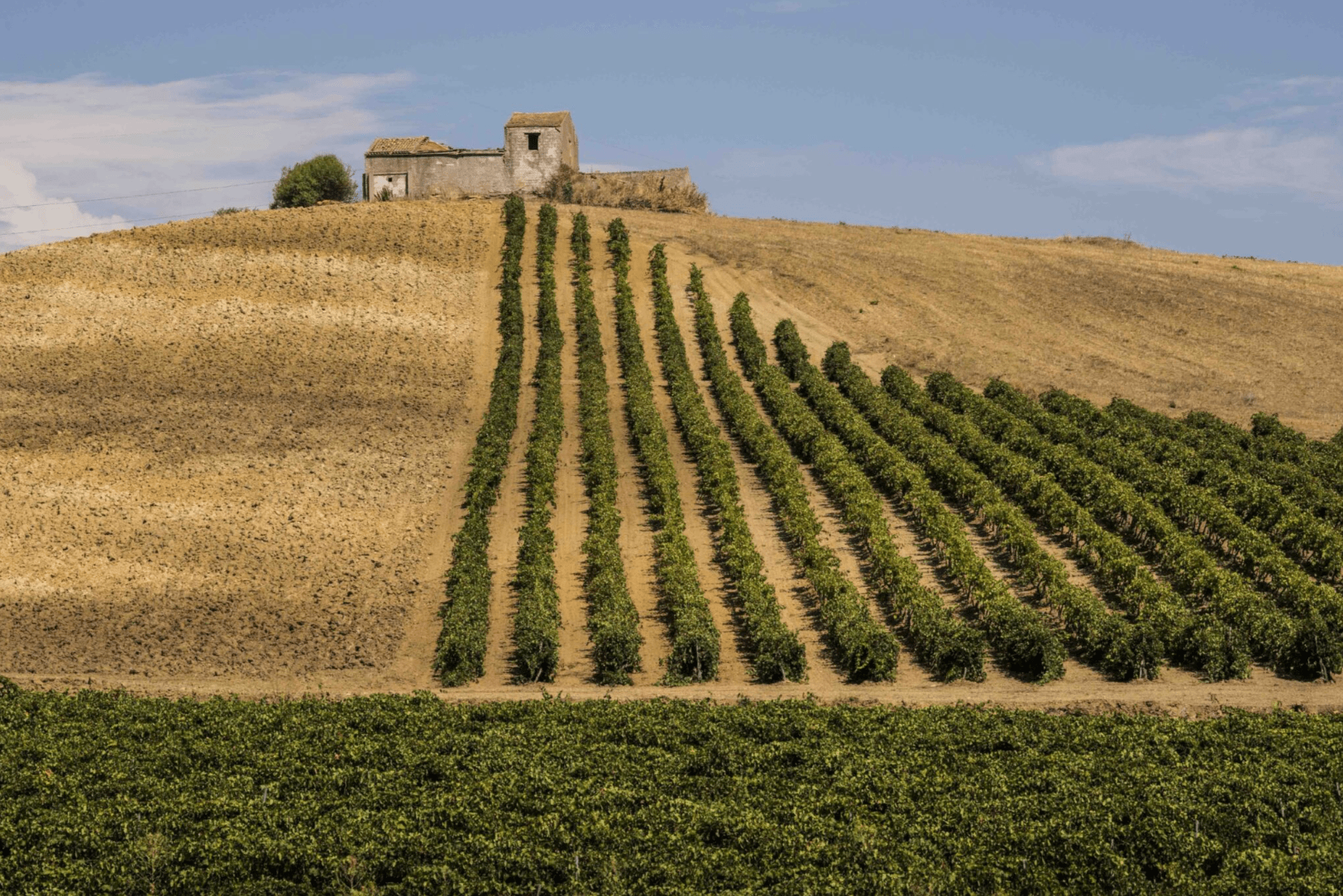 Sicilia DOC