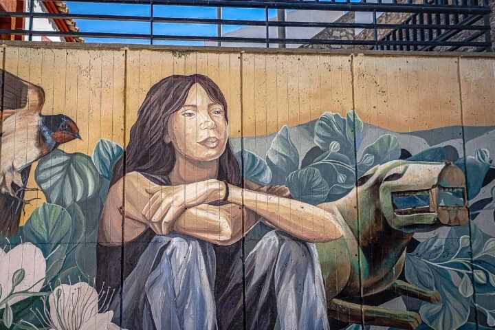 Art Baniana Baena