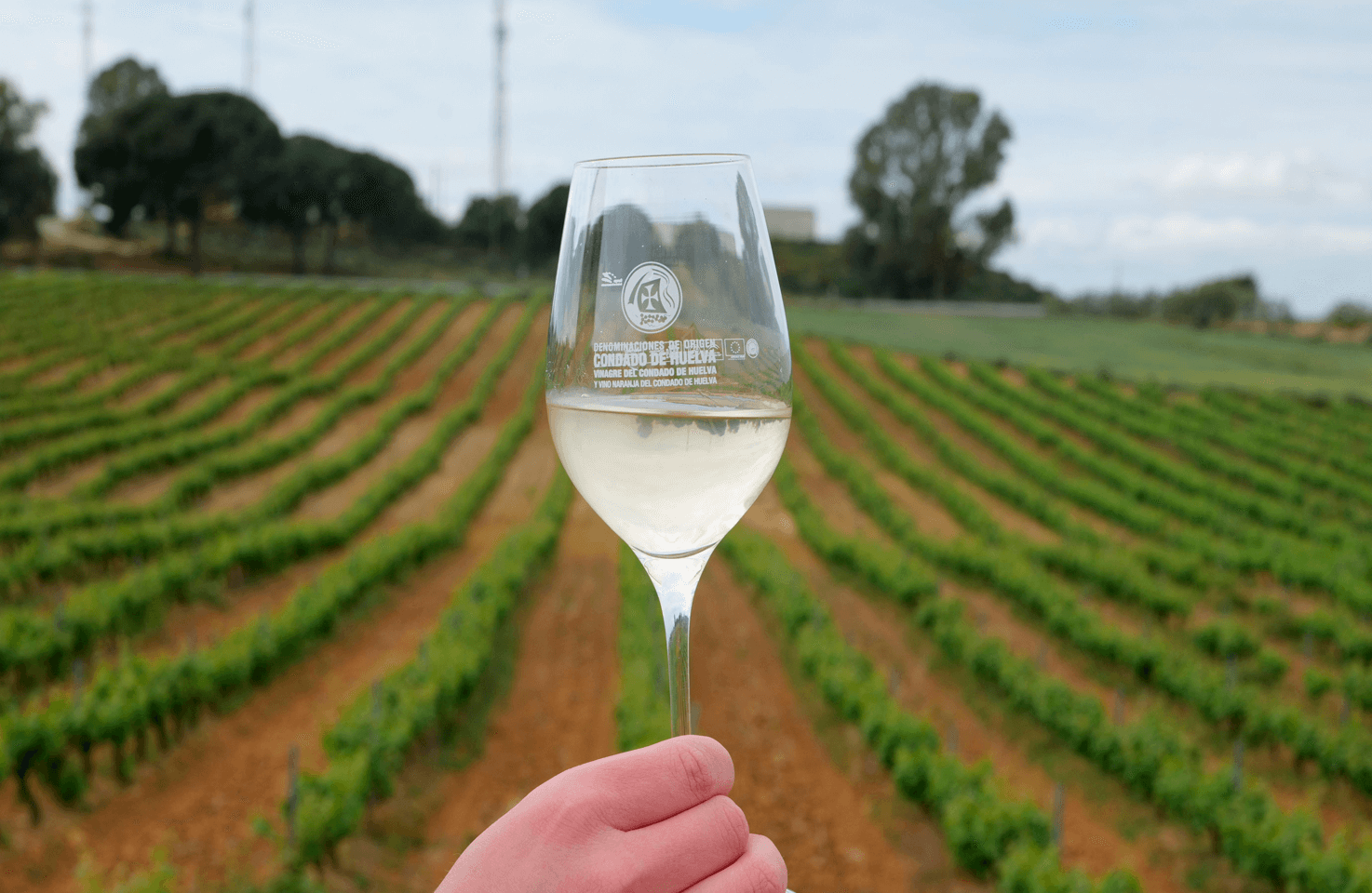Vinos del Condado de Huelva