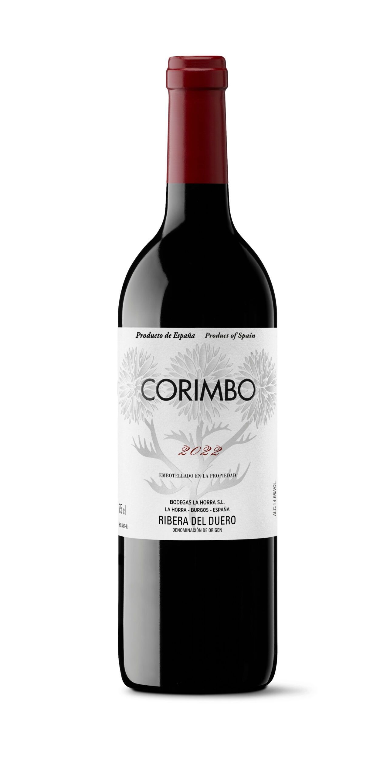 Corimbo 2022