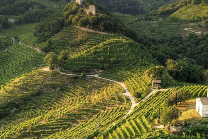 Follador Prosecco