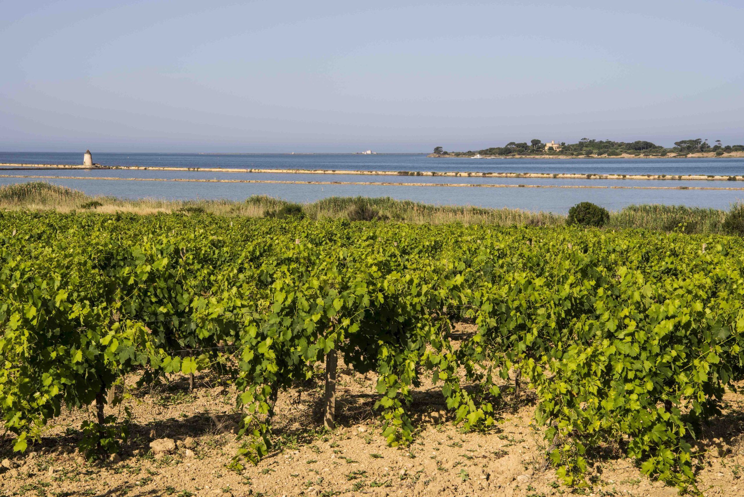 Sicilia DOC