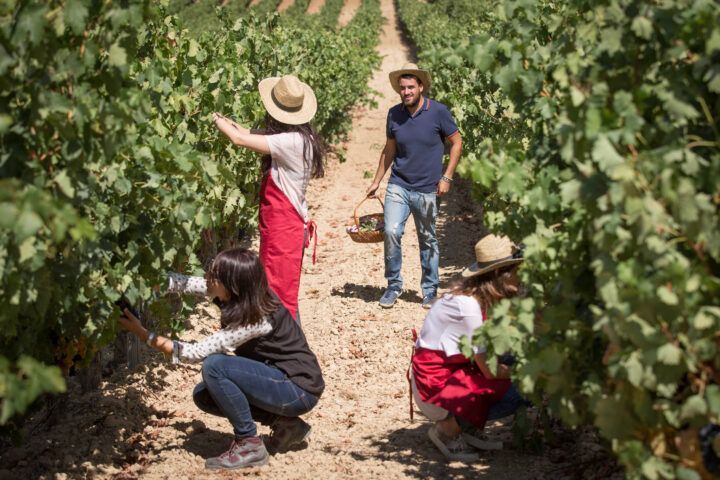 Rioja Alavesa