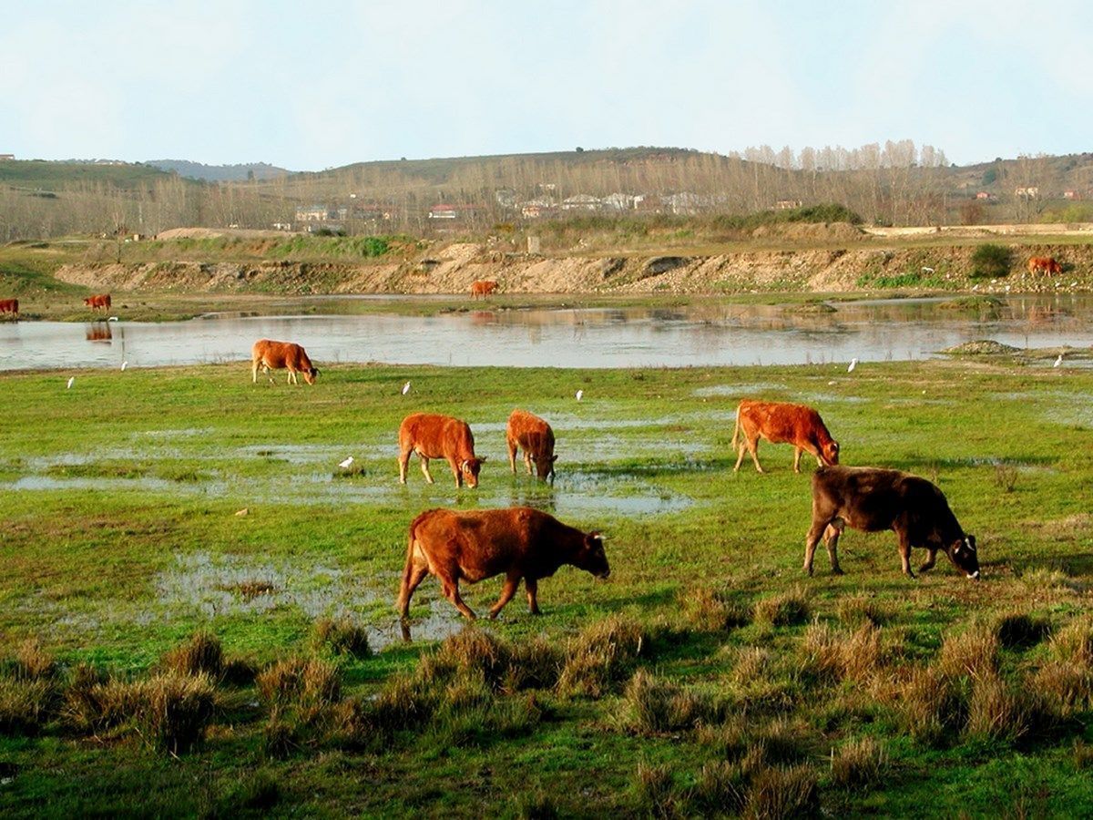 rutas de Coria