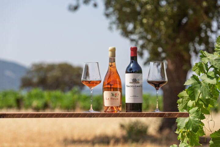 Vinos de dehesa