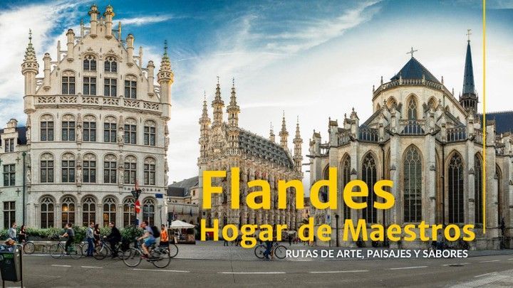 Loquis Flandes