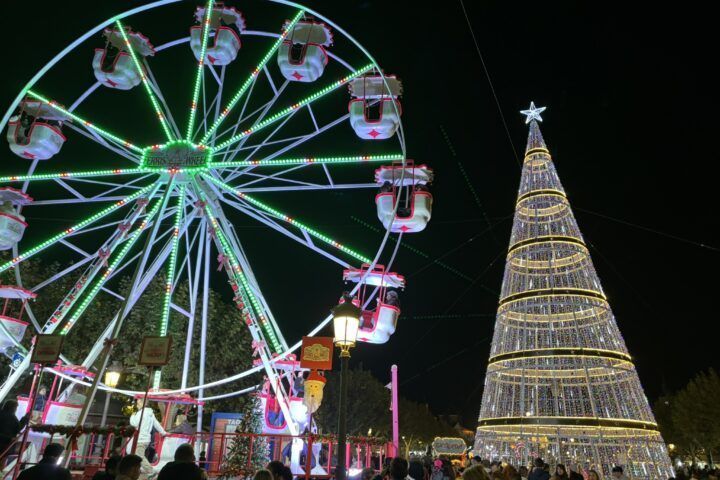 Mercado Navideño Alcalá