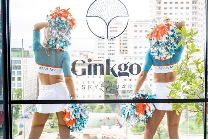 Ginkgo Dolphins