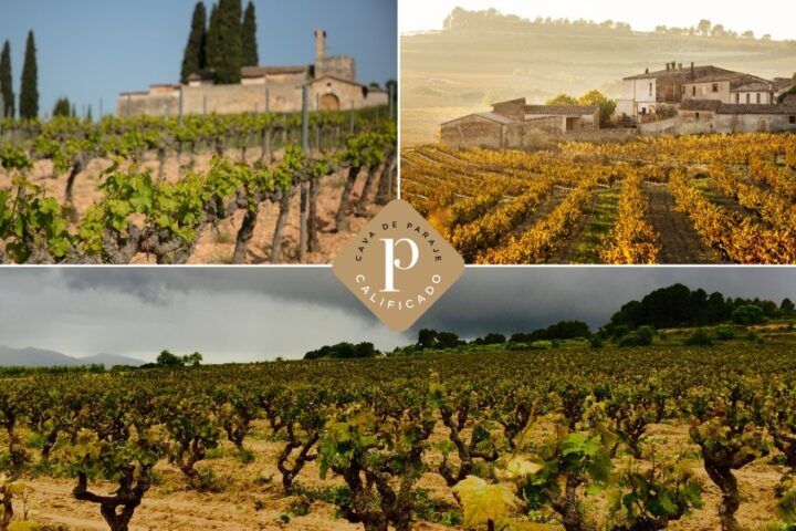 Cavas de Paraje Calificado