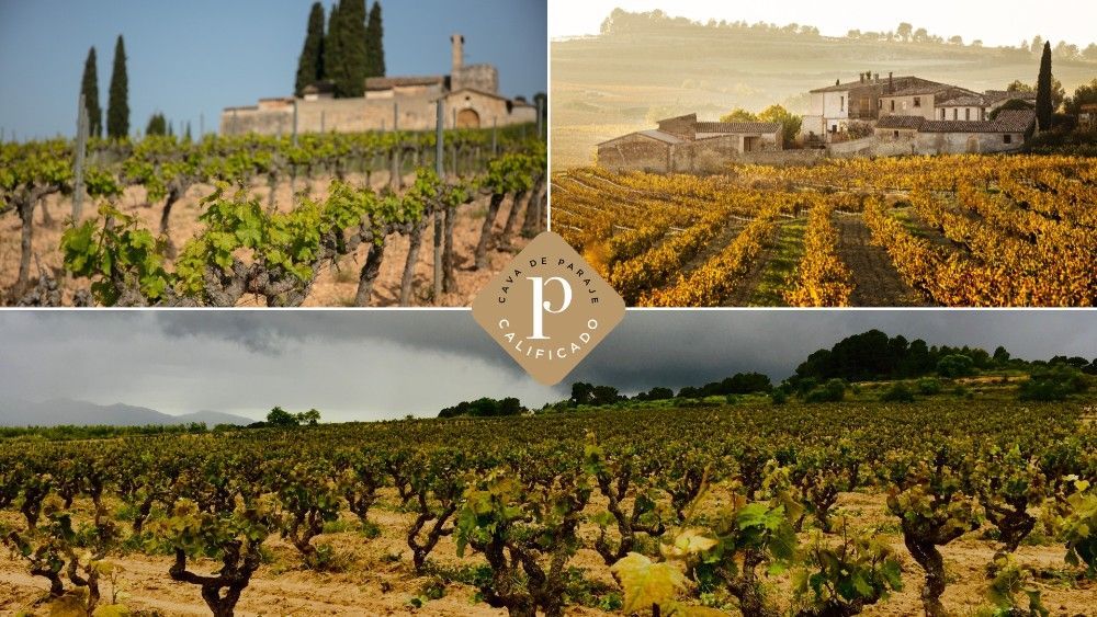 Cavas de Paraje Calificado