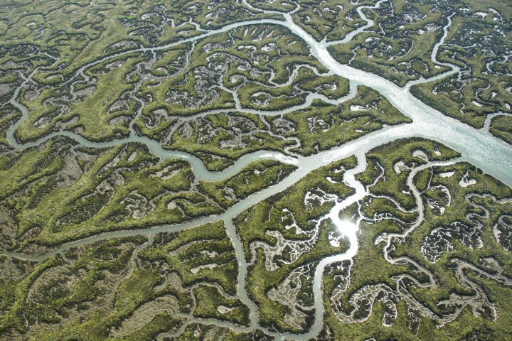 futuro de Doñana