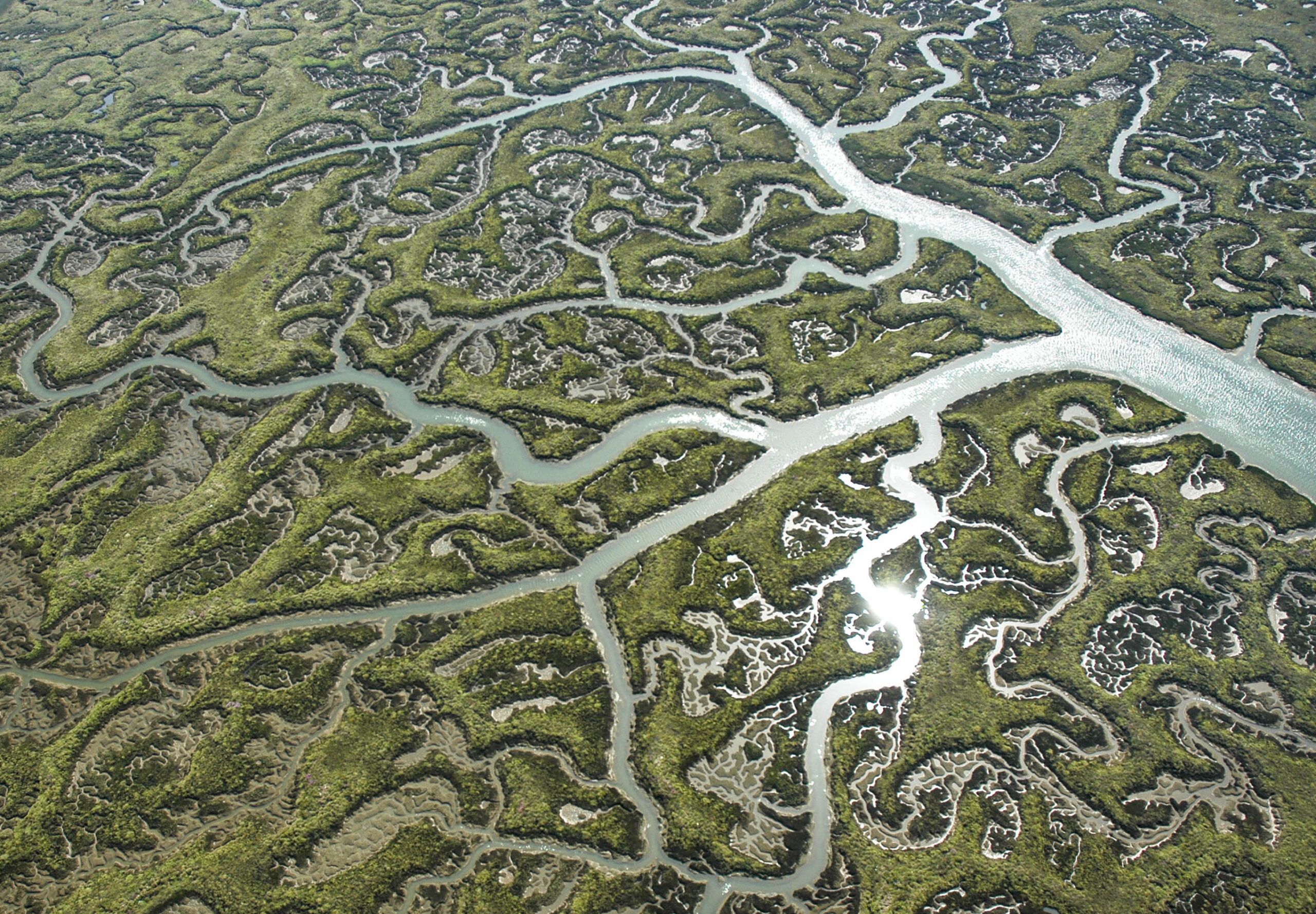 futuro de Doñana