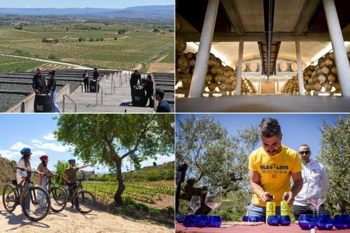 Visitriojaalavesa