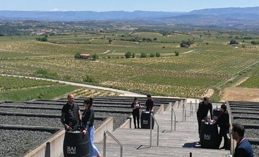 Visitriojaalavesa