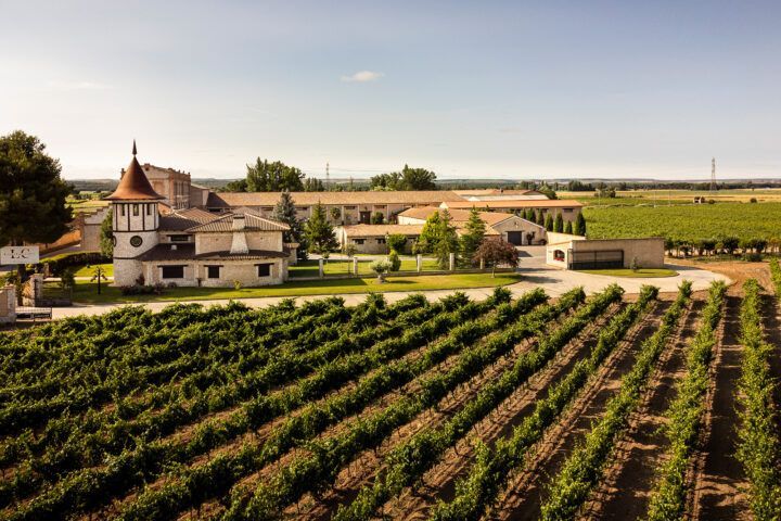 vino ecológico López Cristóbal