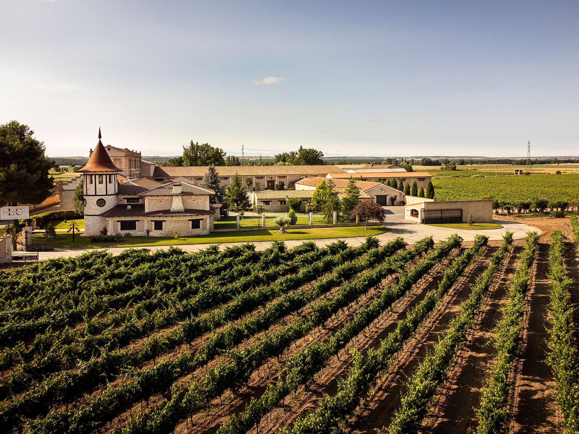 vino ecológico López Cristóbal