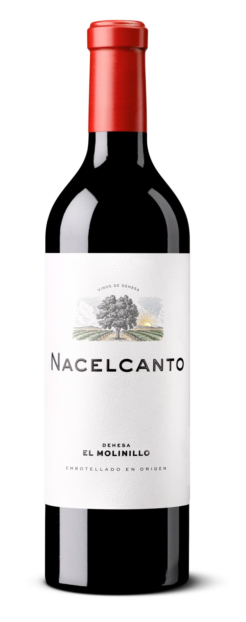 vino Nacelcanto 2023