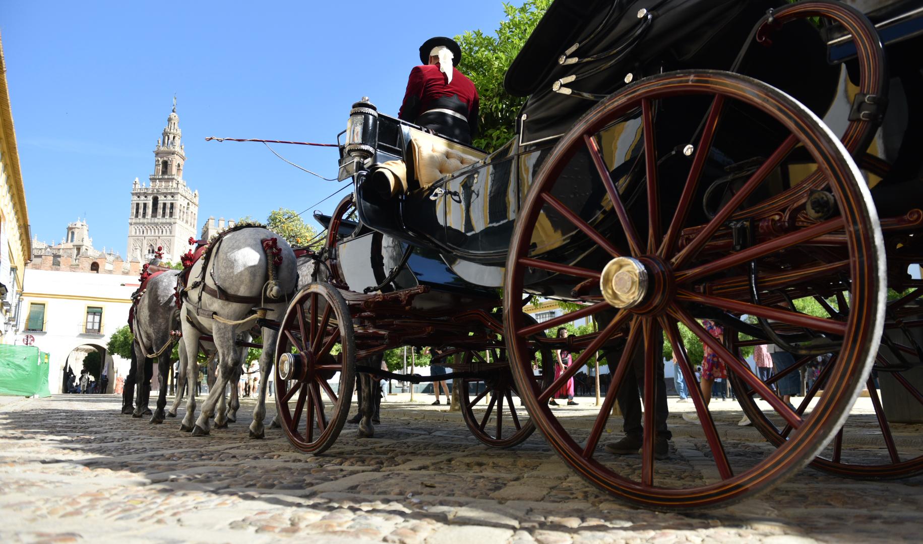 Exhibición de Enganches Sevilla 2026