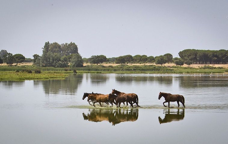 mejores destinos ecoturismo España primavera