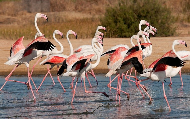 mejores destinos ecoturismo España primavera