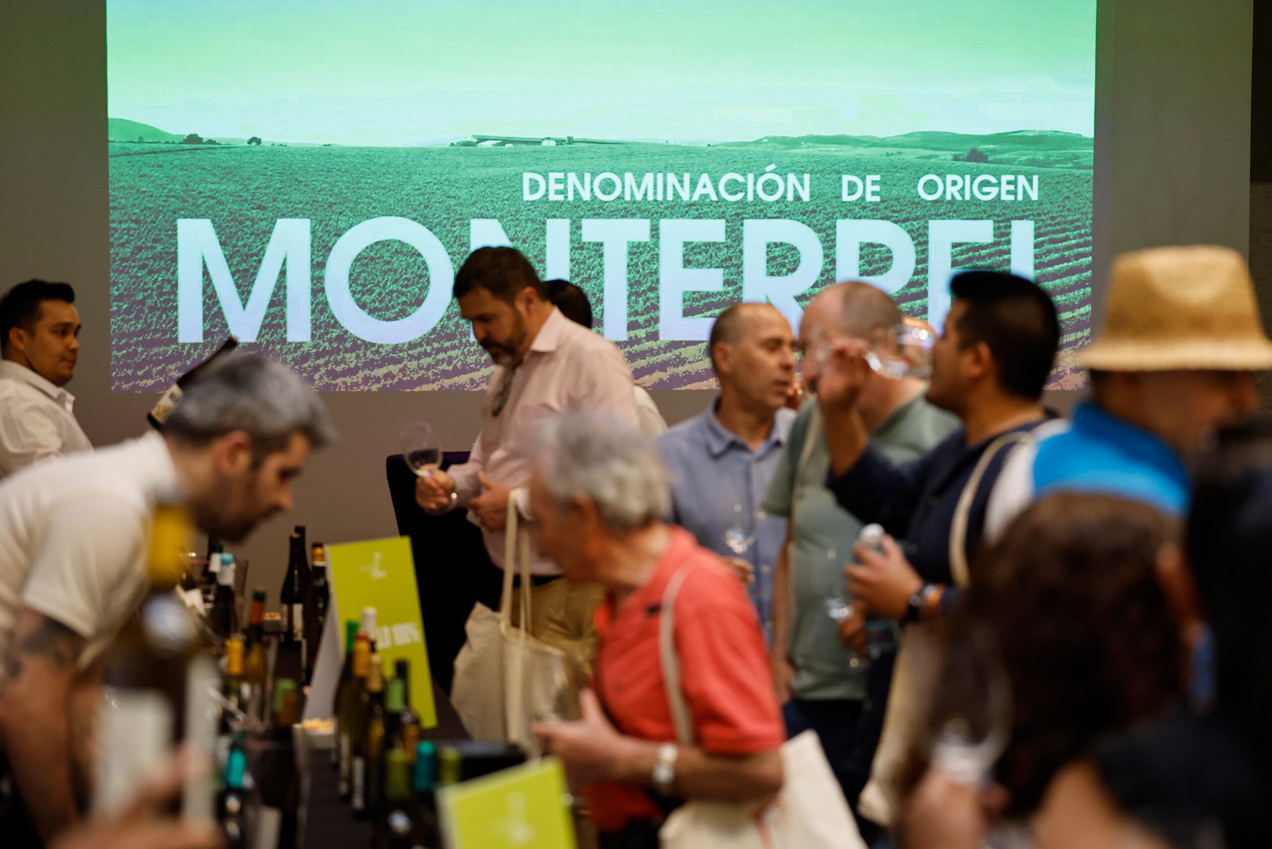 D.O. Monterrei