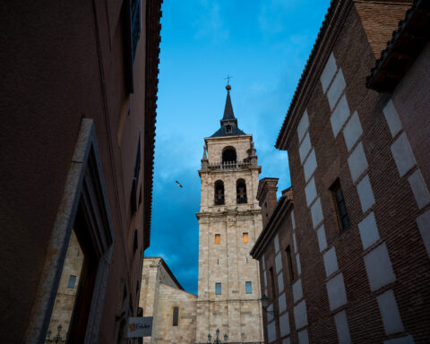 verano Alcalá de Henares