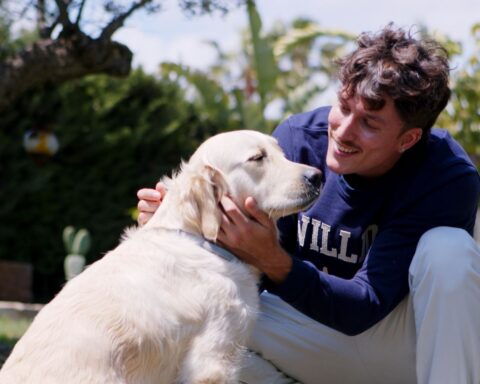 Día Mundial del Perro