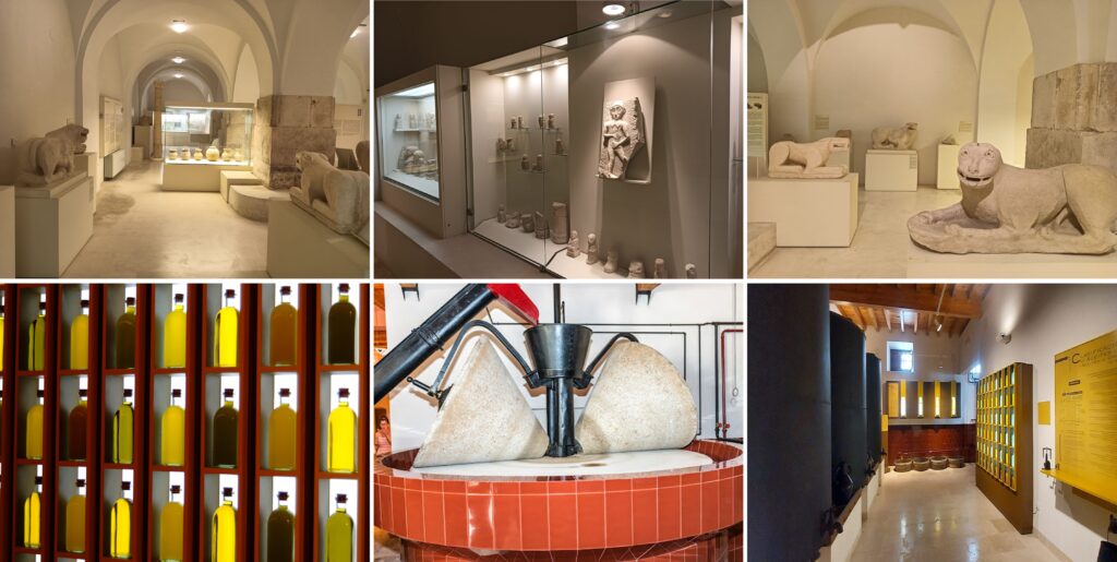 museos de Baena