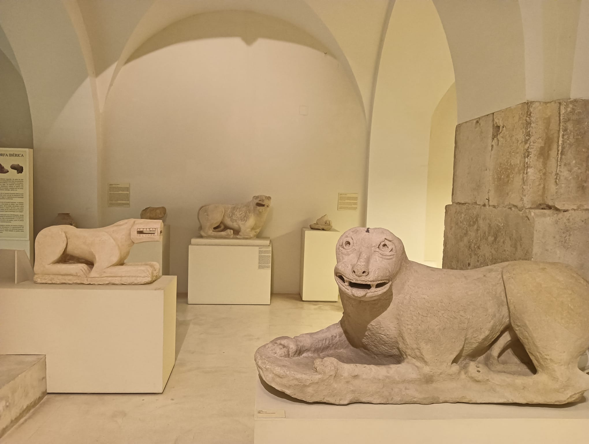 museos de Baena