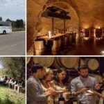 nueva web Rioja Alavesa