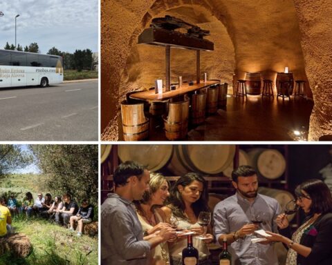 nueva web Rioja Alavesa